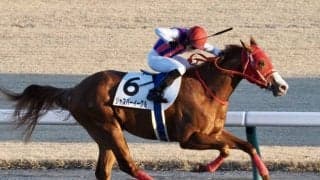 【中京12R】ジャスパーイーグルが2勝目