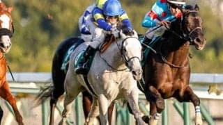 【フェアリーS予想】中山に戻ったシャドウファックスに期待