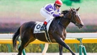 【本日の注目ポイント】3日間開催最終日、中山でフェアリーS