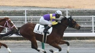 【中京4R新馬戦結果】リアンクールが内から抜け出してV