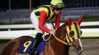 【船橋・船橋記念 枠順確定】キャンドルグラスは4枠4番、ノブワイルドは8枠12番