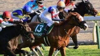 【フェアリーS・馬体重】テンハッピーローズは440kg(+2)、ファインルージュは492kg(+4)