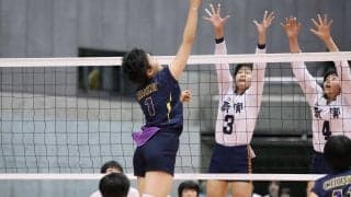 Vリーグで活躍する選手たちの春高優勝祝福コメント