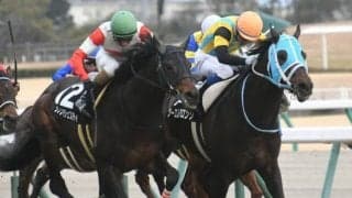 【JRA】高倉稜騎手が絶好調　今年の勝率は42.9％、単勝回収率は2123％に
