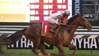 【海外競馬】日本生まれの米G1馬ヨシダに産駒第一号が誕生、初年度は148頭に種付け