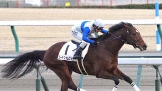 【中京12R】ロードシャムロックがV！全兄はダノンスマッシュ