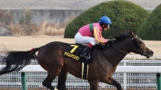 【すばるS】5番人気 テイエムサウスダンが快勝