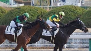 【中京8R】ラヴィンフォールが2勝目 2着にエブリワンブラック