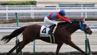 【中京6R】トランセンド産駒 ロングトレーンが豪快な差し切り