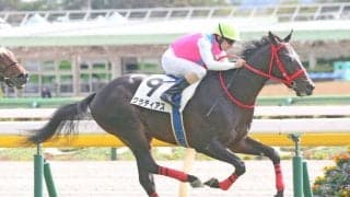 【京成杯登録馬】1勝馬同士の争い