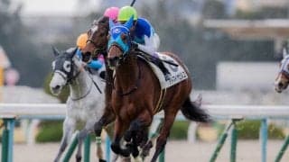 【日経新春杯登録馬】アドマイヤビルゴなど22頭