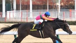 WIN5はまさかの4億円超え飛び出す