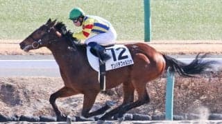 【新馬/中山3R】ヘニーヒューズ産駒 ゲンパチフォルツァがデビューV