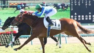 【新馬/中山5R】菜七子が今年の初笑い！レッジャードロで直線ゴボウ抜き