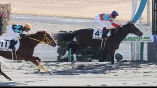 【新馬/中京4R】キズナ産駒 レプンカムイがデビューV