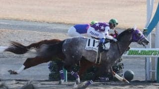 【新馬/中京6R】9番人気の伏兵レイクリエイターがデビューV