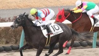 【新馬/中山4R】エイシンヒカリ産駒 ジュンダイハードがデビューV