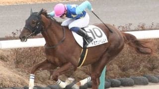 【新馬/中山6R】エスケンデレヤ産駒 トミケンベレムドがデビューV