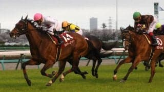ミッキースワローが競走馬登録抹消