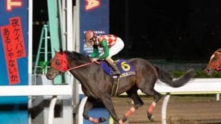 年度代表馬はサブノジュニア！「NARグランプリ2020」表彰馬・表彰者決定