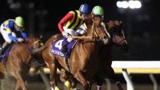 【船橋記念結果】キャンドルグラスが差し切り連覇達成　御神本騎手は4連覇