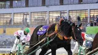 ばんえい競馬で更新された売上最高額と快記録/斎藤修コラム