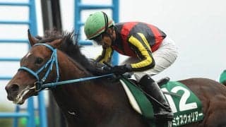 【JRA】函館記念覇者ルミナスウォリアーがサラブレッドオークション上場へ
