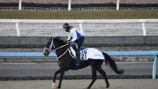 ヘリオスなど、先週の入厩情報/栗東トレセンニュース