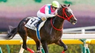 【京成杯 予想オッズ】レシステンシア半弟グラティアスが人気の中心