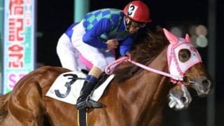 森泰斗騎手がトーキョーサバクで地方競馬通算3200勝！