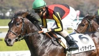 【京成杯展望】スタミナを要するレース、あの馬に期待したい