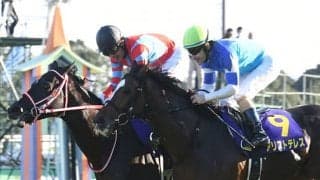 【AJCC想定】昨年牡馬クラシックで活躍のアリストテレス、ヴェルトライゼンデ、サトノフラッグなど