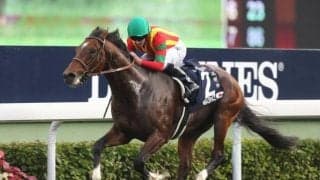 【海外競馬】モーリス産駒が豪州初勝利、バルモーリスがデビュー戦を2.1/4馬身差の完勝