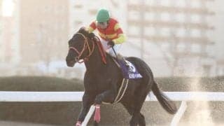 【名古屋・マイル争覇結果】カツゲキキトキトが節目の重賞V