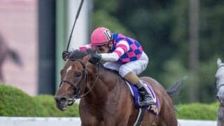 グランドボヌールが競走馬登録抹消