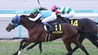 日経新春杯は「６億円馬」が魅せる。重賞初制覇へ条件変更も追い風だ