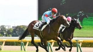 すべて１勝馬。「荒れる」要素が増した京成杯で穴党記者が見極めた４頭