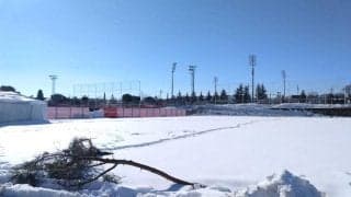 そして皆、ヒマになった…/原ゆみこのマドリッド