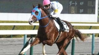 【京成杯 予想】タイソウ　今週もモーリス産駒に期待