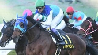 【本日の注目ポイント】中山で京成杯、中京で日経新春杯