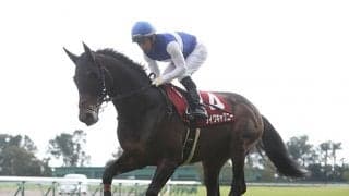 【日経新春杯予想】 相馬の達人が馬体から“穴馬”を発掘!? 実績よりも重視したいのは条件適性/JRAレース展望