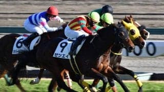 【JRA】小倉10Rでゼツエイが死亡、8Rでハクアイオウが予後不良に