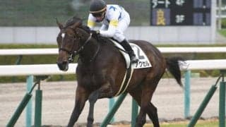 【JRA】横山典弘騎手が日曜中山は乗り替わり、京成杯のアクセルは横山武史騎手に