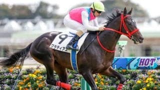 【京成杯前日オッズ】グラティアスが3.7倍で1番人気
