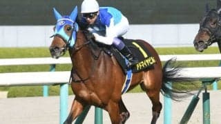 【日経新春杯前日オッズ】アドマイヤビルゴが2.7倍で1番人気