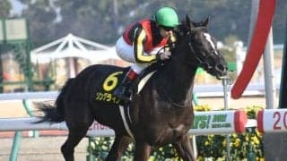 【紅梅S結果】ソングラインが人気に応え3馬身差V