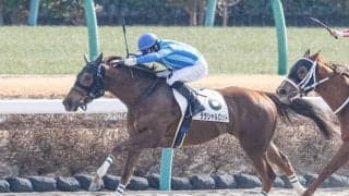 【中山4R新馬戦結果】唯一の関西馬ララシャルロットが押し切りV