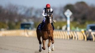 【東海S登録馬】インティなど16頭