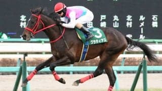 【京成杯】またしてもルメール！グラティアスがデビュー2連勝
