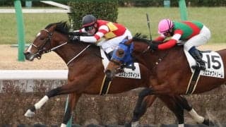 【新馬/中山4R】コズミックマインドが最内から抜け出す！デビューV